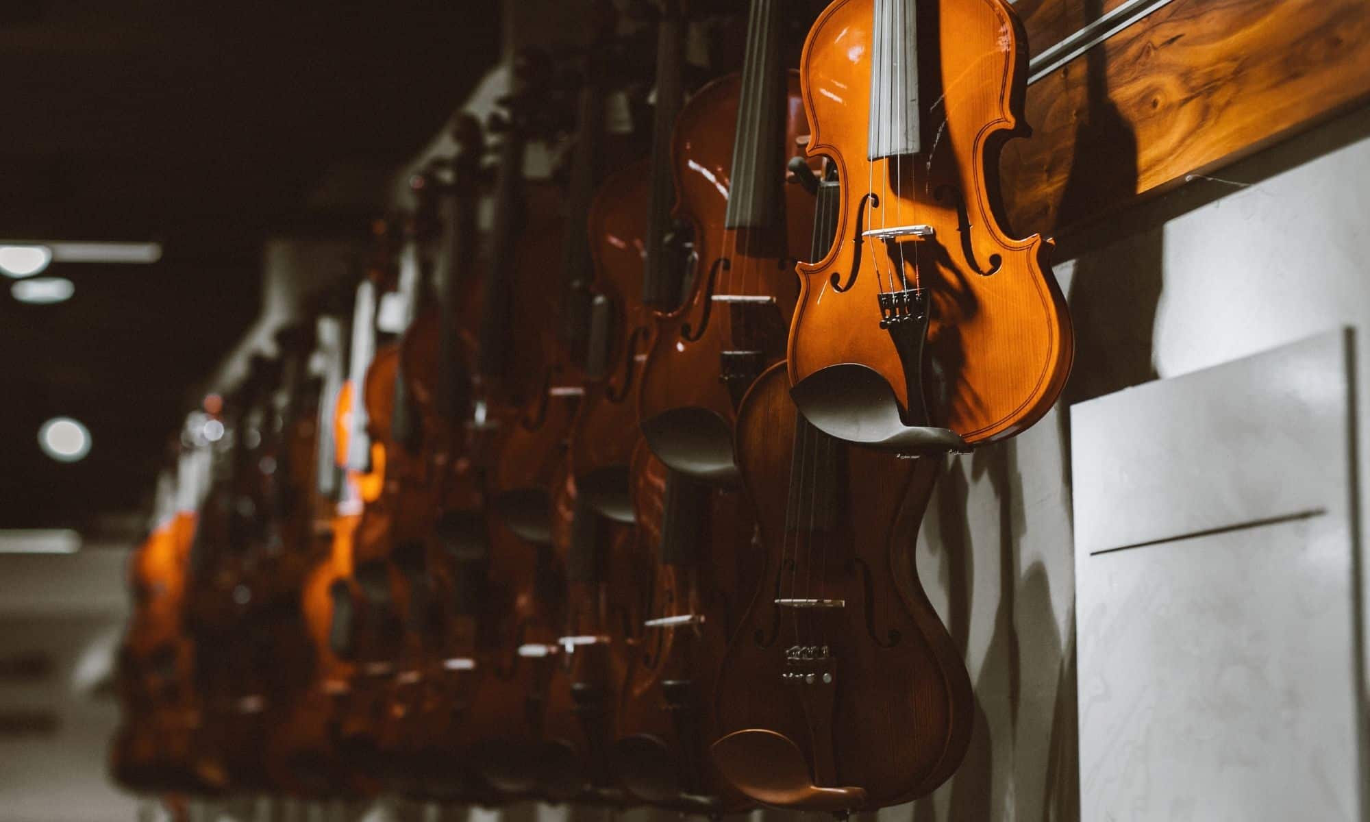 Everything You Need to Know About Obtaining Professional-Level Instruments