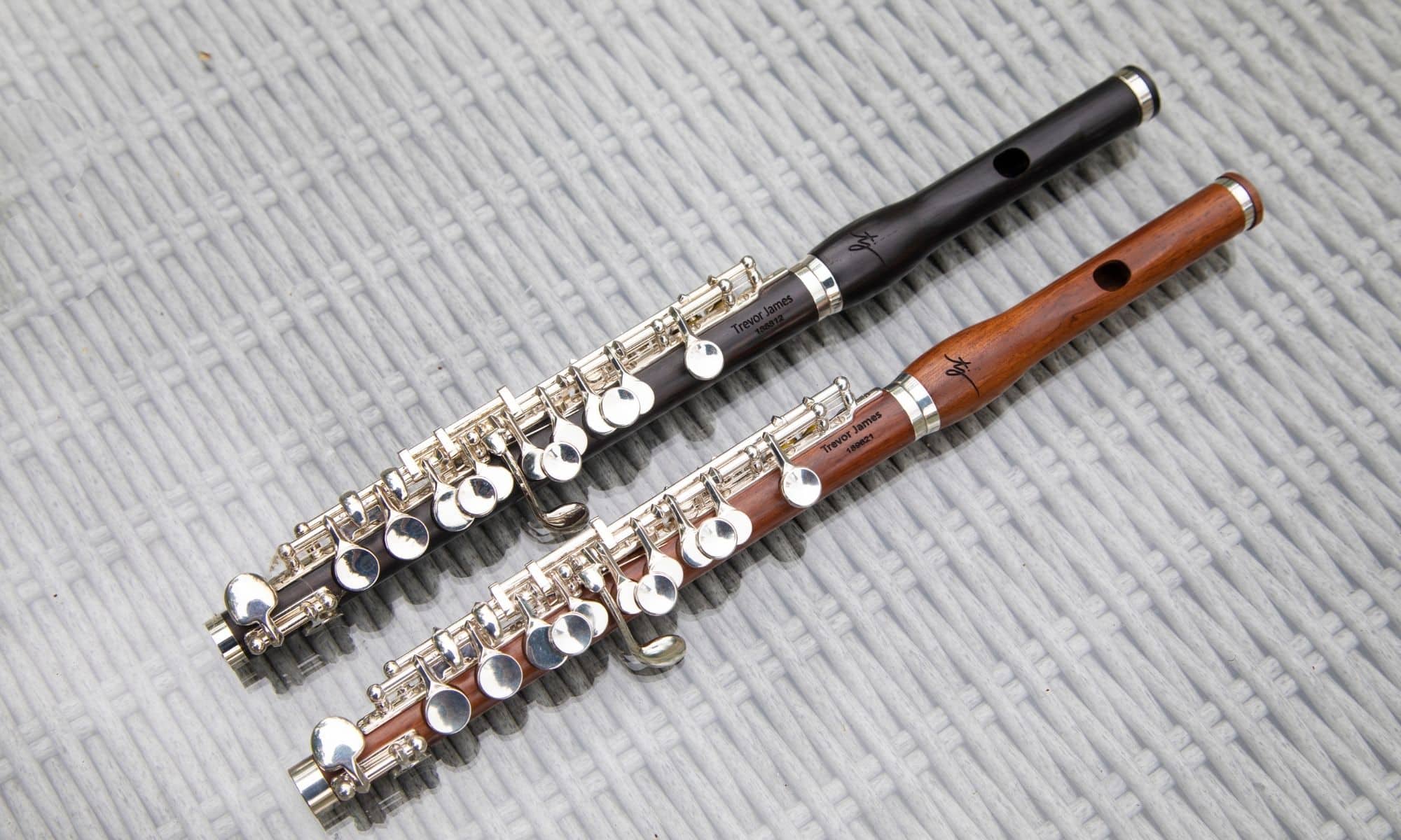 A Journey Through Music, Mentorship, and Education