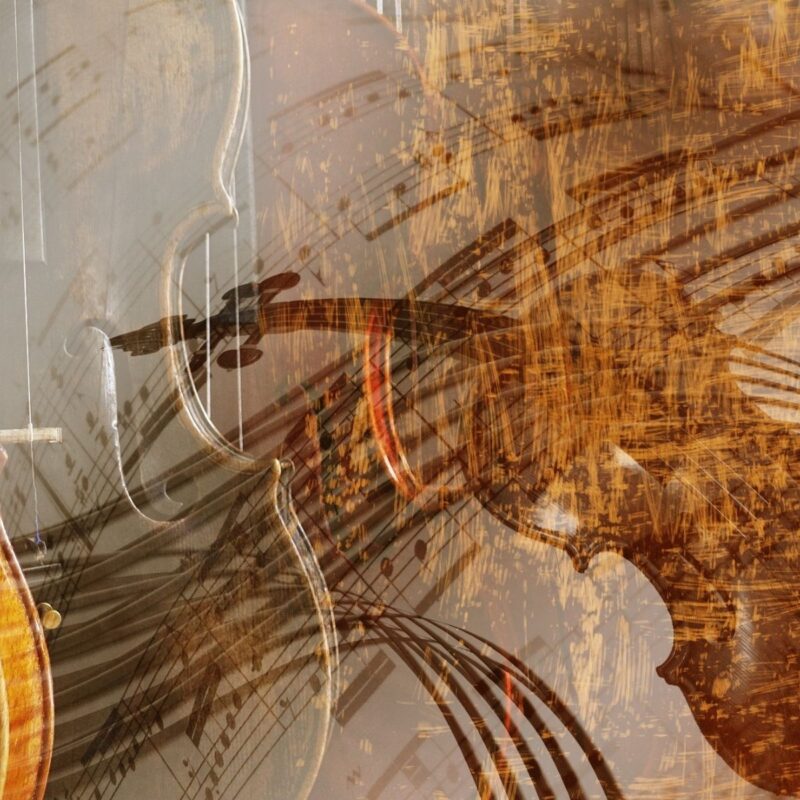 violin header